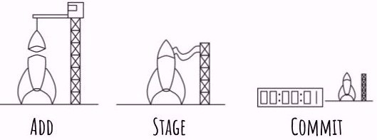 Cover image for The git cycle