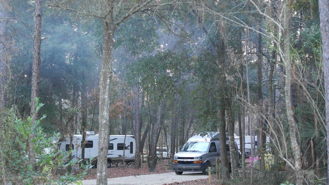 Cover image for Wekiwa Springs State Park Camping review