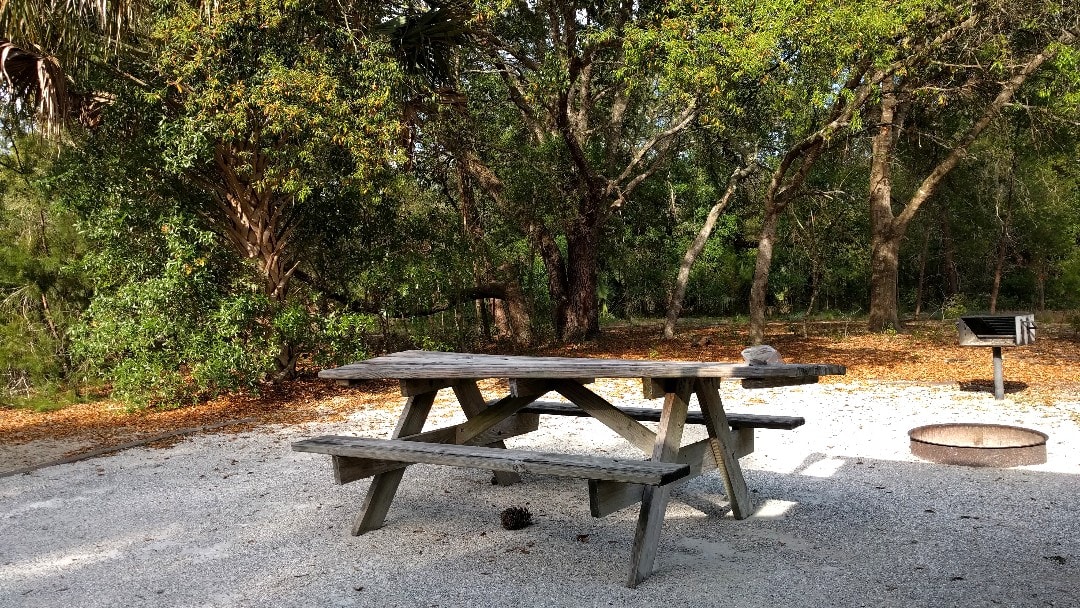 Cover image for Silver Springs State Park Camping review