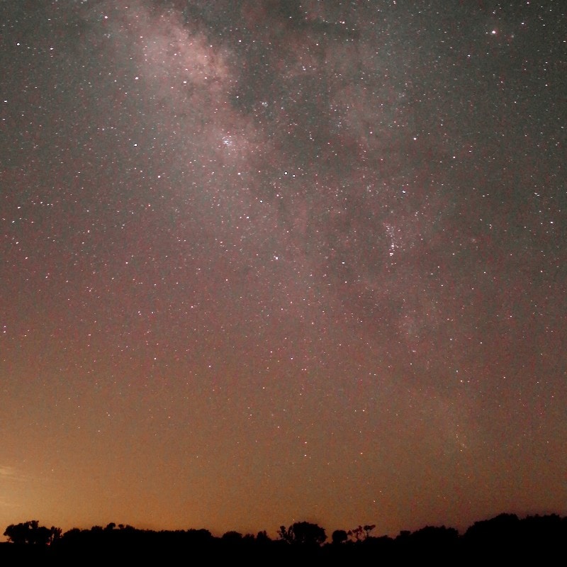 Cover image for Kissimmee Prairie Preserve State Park camping and star gazing